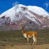 10 curiosità sull’Ecuador che (forse) non sapete