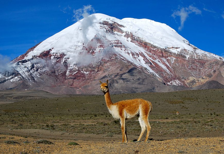 10 curiosità sull’Ecuador che (forse) non sapete