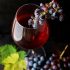 San Martino – Festa del vino novello