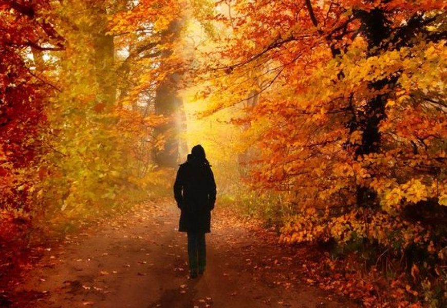 Equinozio d’autunno: Scopri le tradizioni e i riti
